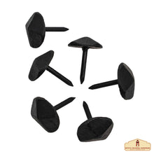 Load image into Gallery viewer, Nails Iron Clavos Decorative Nails, Hand Forged, Natural Oil Blackened Finish