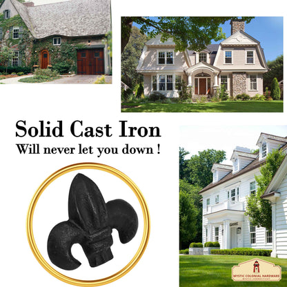 Hand-Forged Iron Fleur DE LIS CLAVOS - Set of 6